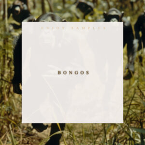 Bongos