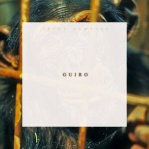 Guiro