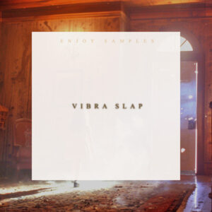 Vibra Slap